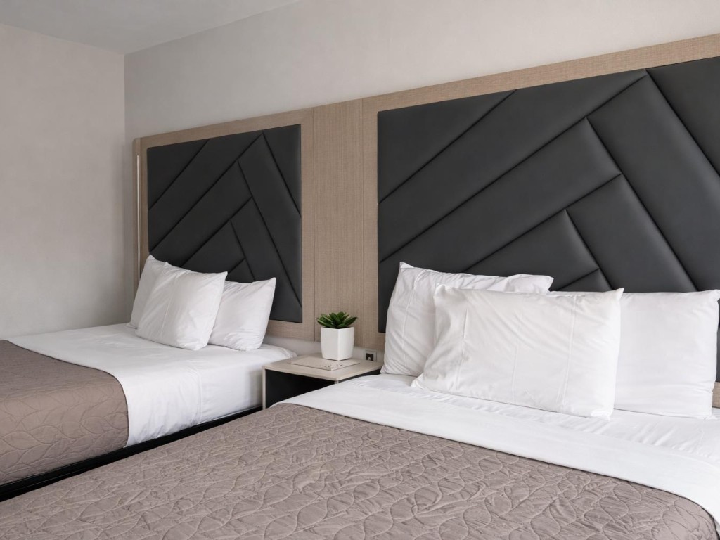 Fair Motel Room Interior